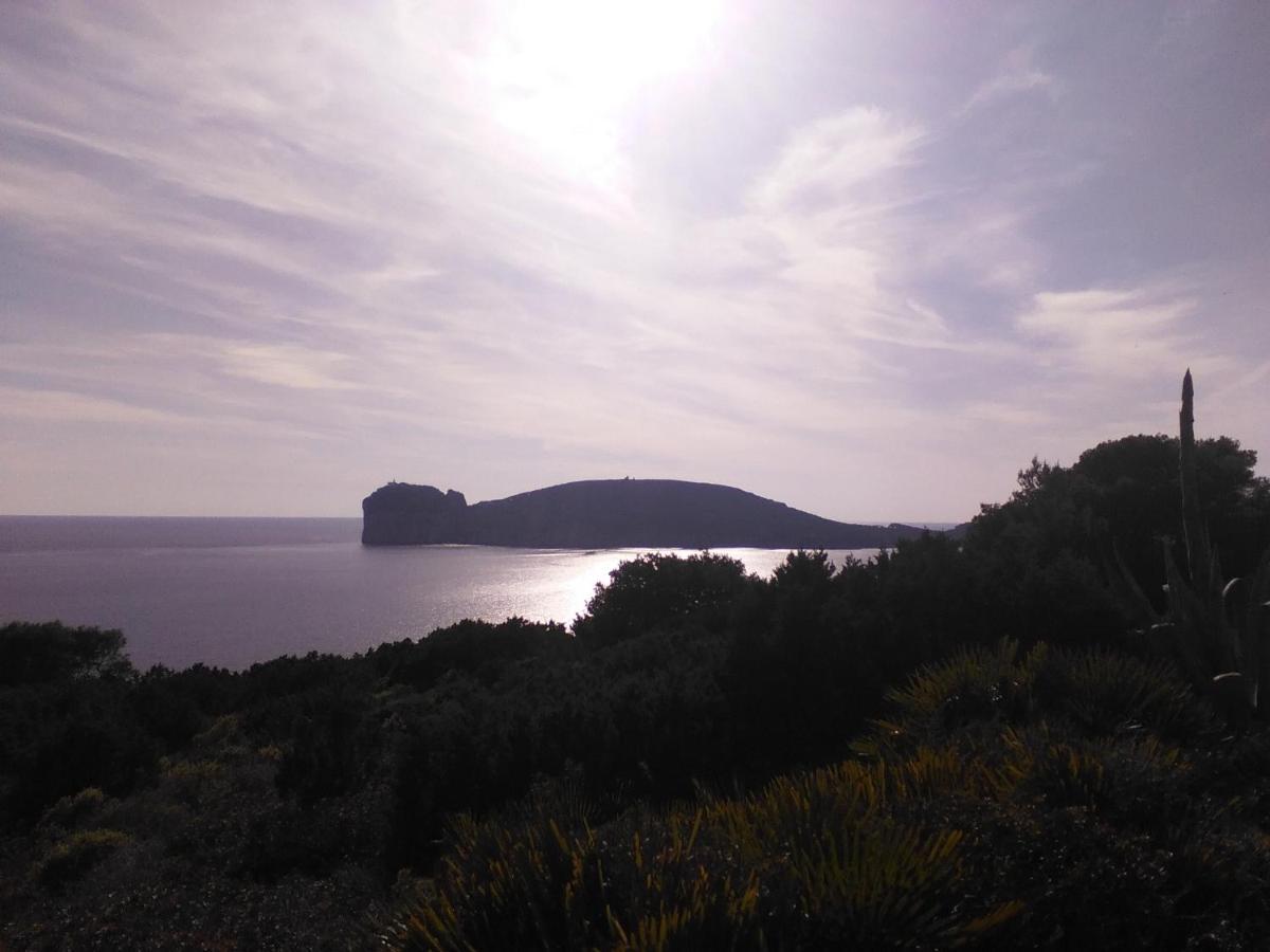 Giramondo Sardegna Affittacamere Alghero Eksteriør bilde
