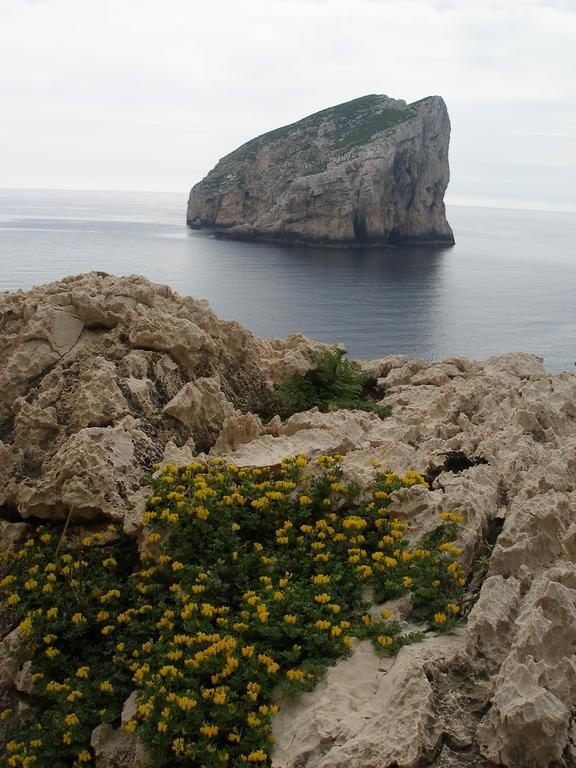 Giramondo Sardegna Affittacamere Alghero Eksteriør bilde
