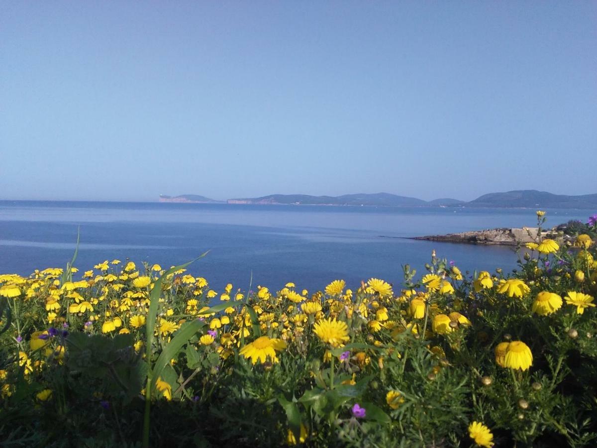Giramondo Sardegna Affittacamere Alghero Eksteriør bilde